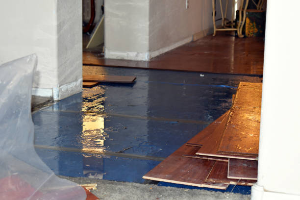 Professional Flood Cleanup technician working in Panama, IA
